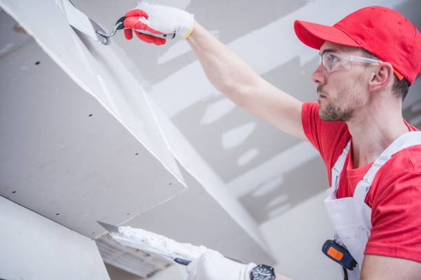 Best Drywall Texturing  in Carson City, MI